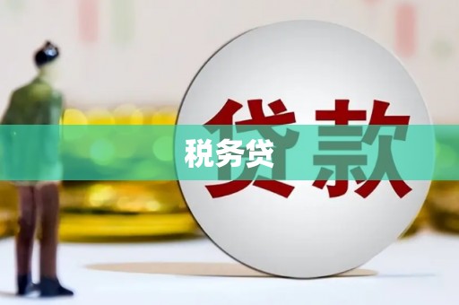 承德税务贷