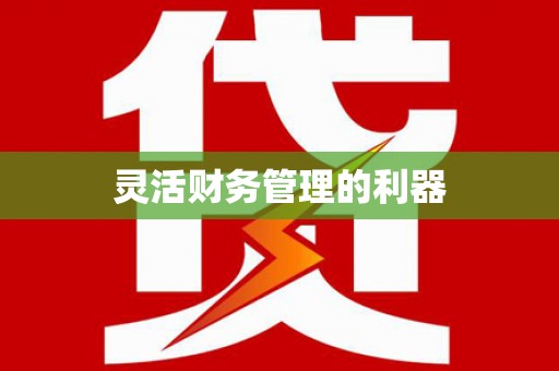 承德灵活财务管理的利器