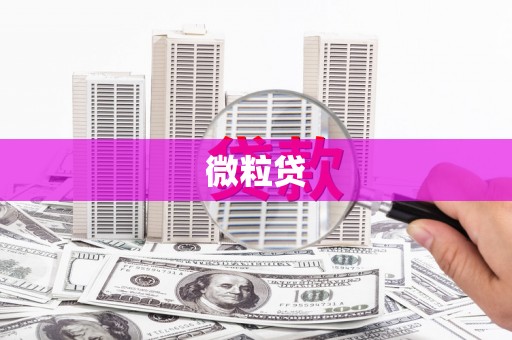 承德微粒贷