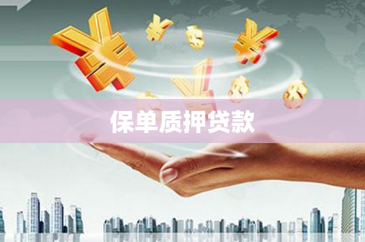 承德保单质押贷款