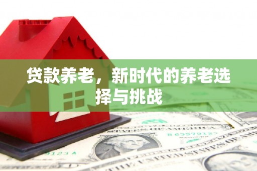 承德贷款养老，新时代的养老选择与挑战