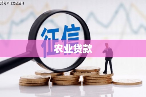 承德农业贷款