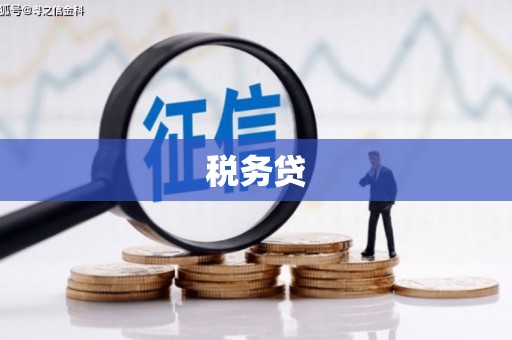 承德税务贷