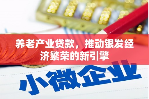 承德养老产业贷款，推动银发经济繁荣的新引擎