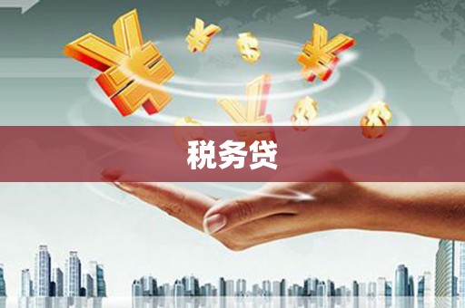承德税务贷