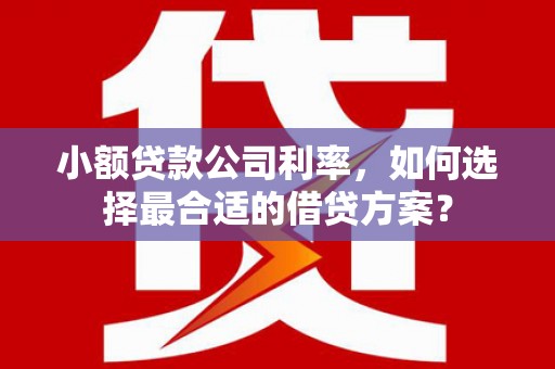承德小额贷款公司利率，如何选择最合适的借贷方案？