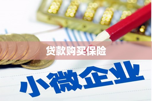 承德贷款购买保险
