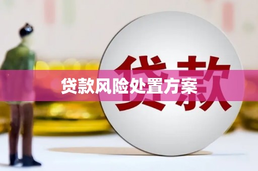 承德贷款风险处置方案
