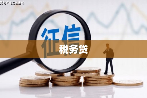 承德税务贷